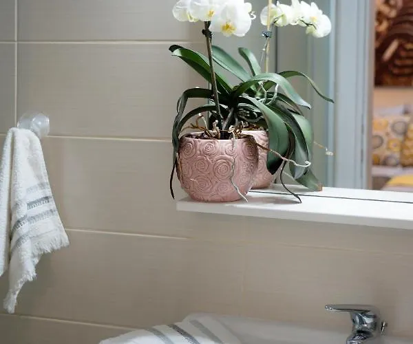 Lucas